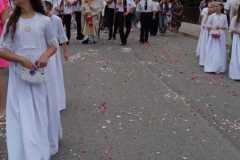IMG-20250619-WA0088